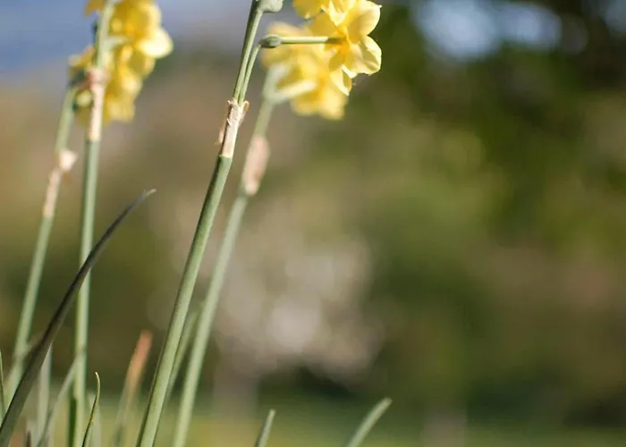 La Grange Du Paris Гостевой дом Loisieux