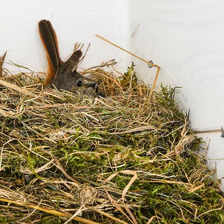 Pensjonat La Grange Du Paris