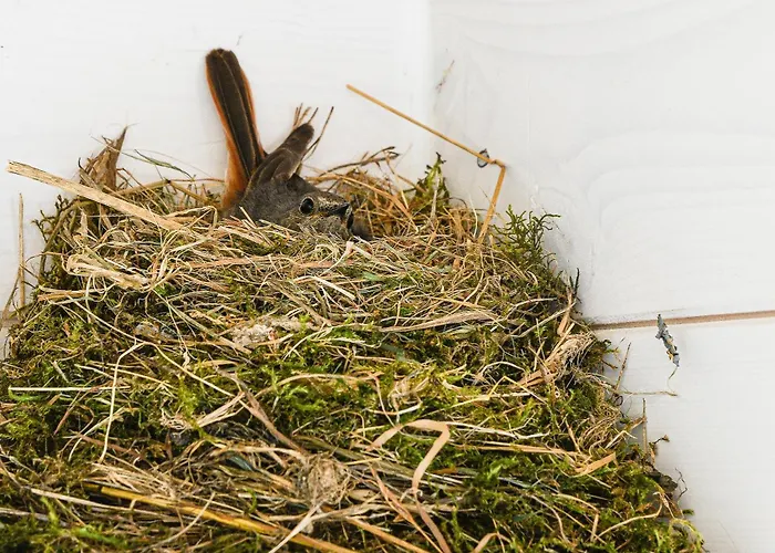 Maison d'hôtes La Grange Du Paris